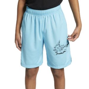 Nike Dri-FIT Graphic Boy's Training Shorts CI2349-496