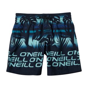 O'Neill Stacked Boy's Swim Shorts 4800004-25017