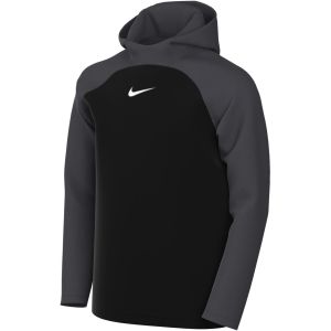Nike Dri-FIT Academy Pro Toddler Pullover Soccer Hoodie DH9485-013