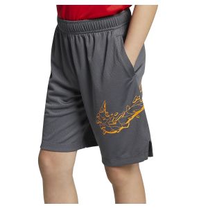 Nike Dri-FIT Graphic Boy's Training Shorts CI2349-021